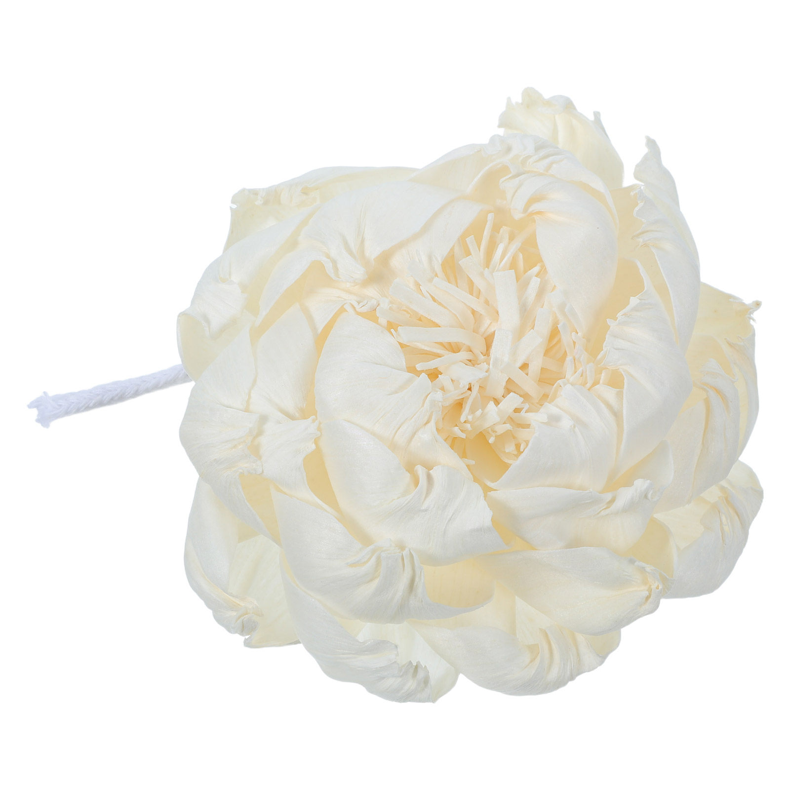 Ароматический диффузор в виде  – обзор и цена Home Fragrance Usa
